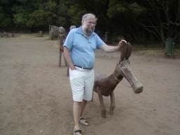 Resize of P21010189.JPG